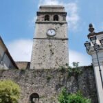 DMO - Terre dell'olio dei papi