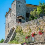 DMO - Terre dell'olio dei papi