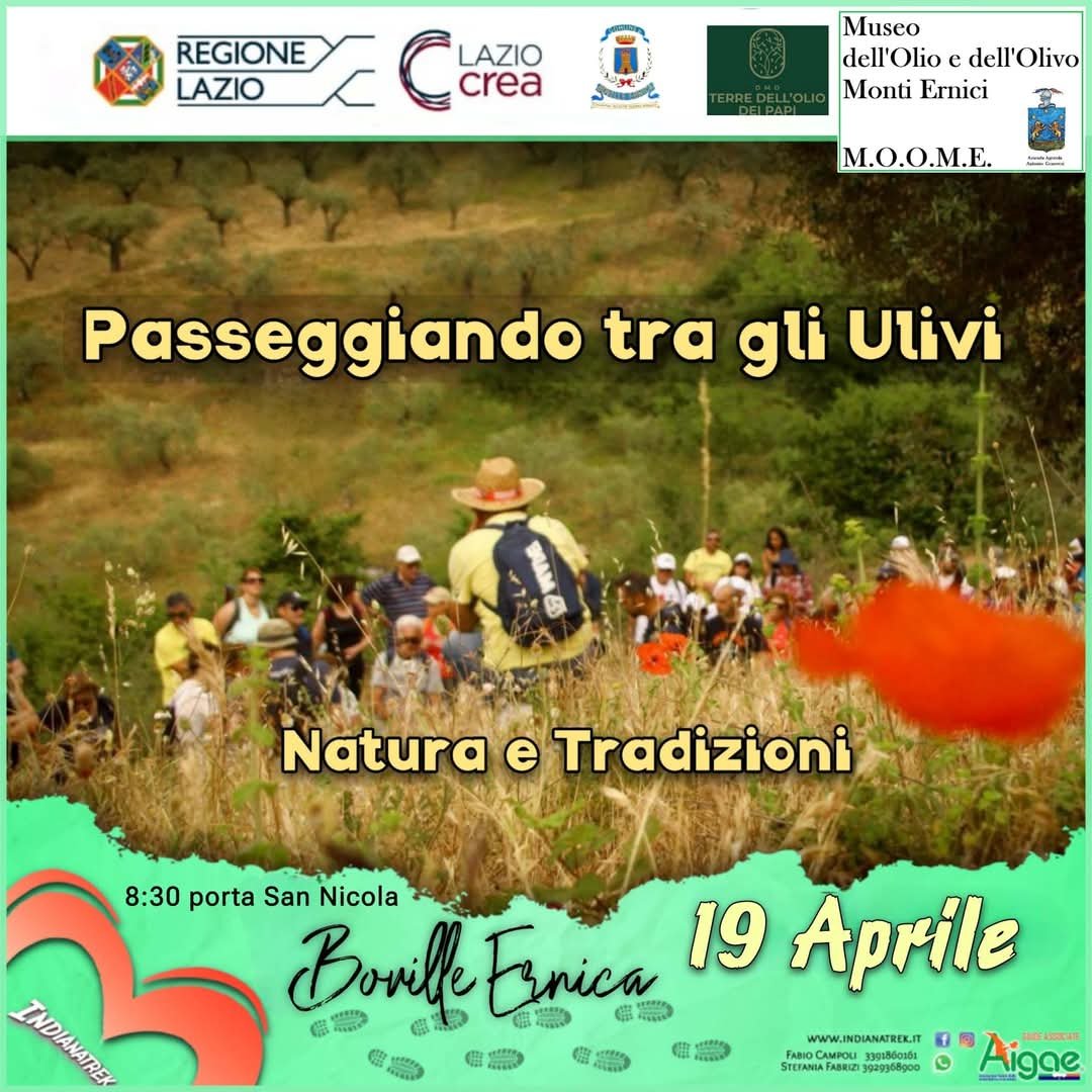 DMO Terre dell'olio dei papi